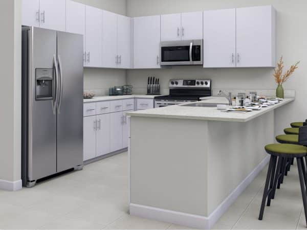 DAH_1911_Rend_Orchid_Kitchen_F1__070622